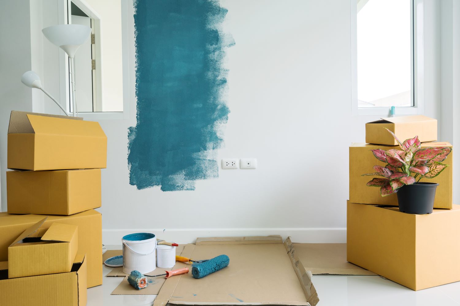 paint color